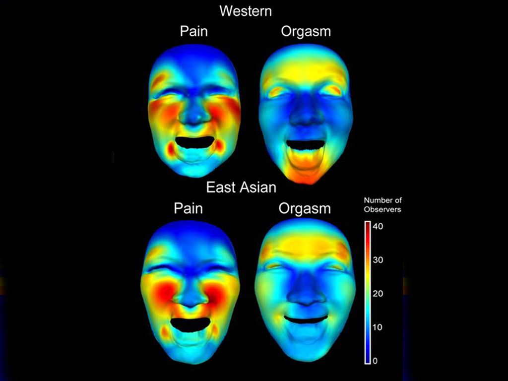 La cara del orgasmo, la diferencia entre occidentales y asiáticos • ENTER.CO