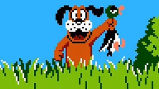 Duck Hunt