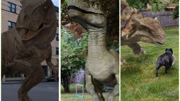 Dinosaurios 3D