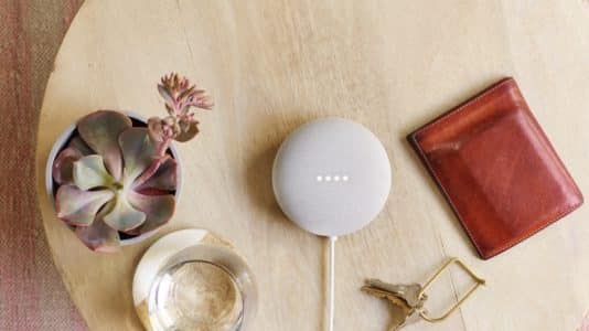 Nest mini