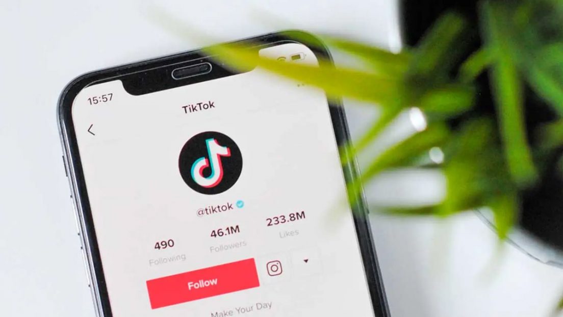 TikTok Amplía Sus Estrategias Para Controlar Los Retos Peligrosos En La ...