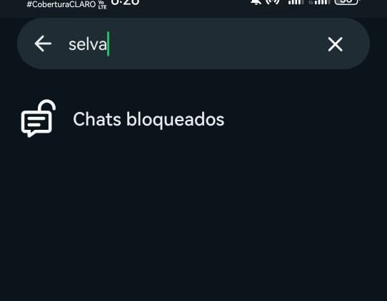 bloquear chats