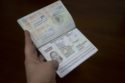 pasaporte en línea