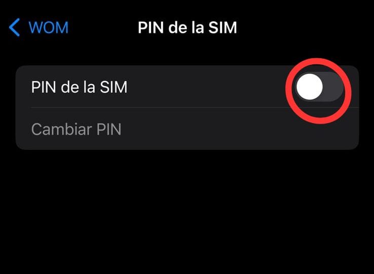 SIM Card