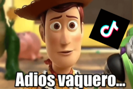 TikTok Estados Unidos