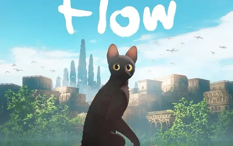 Flow